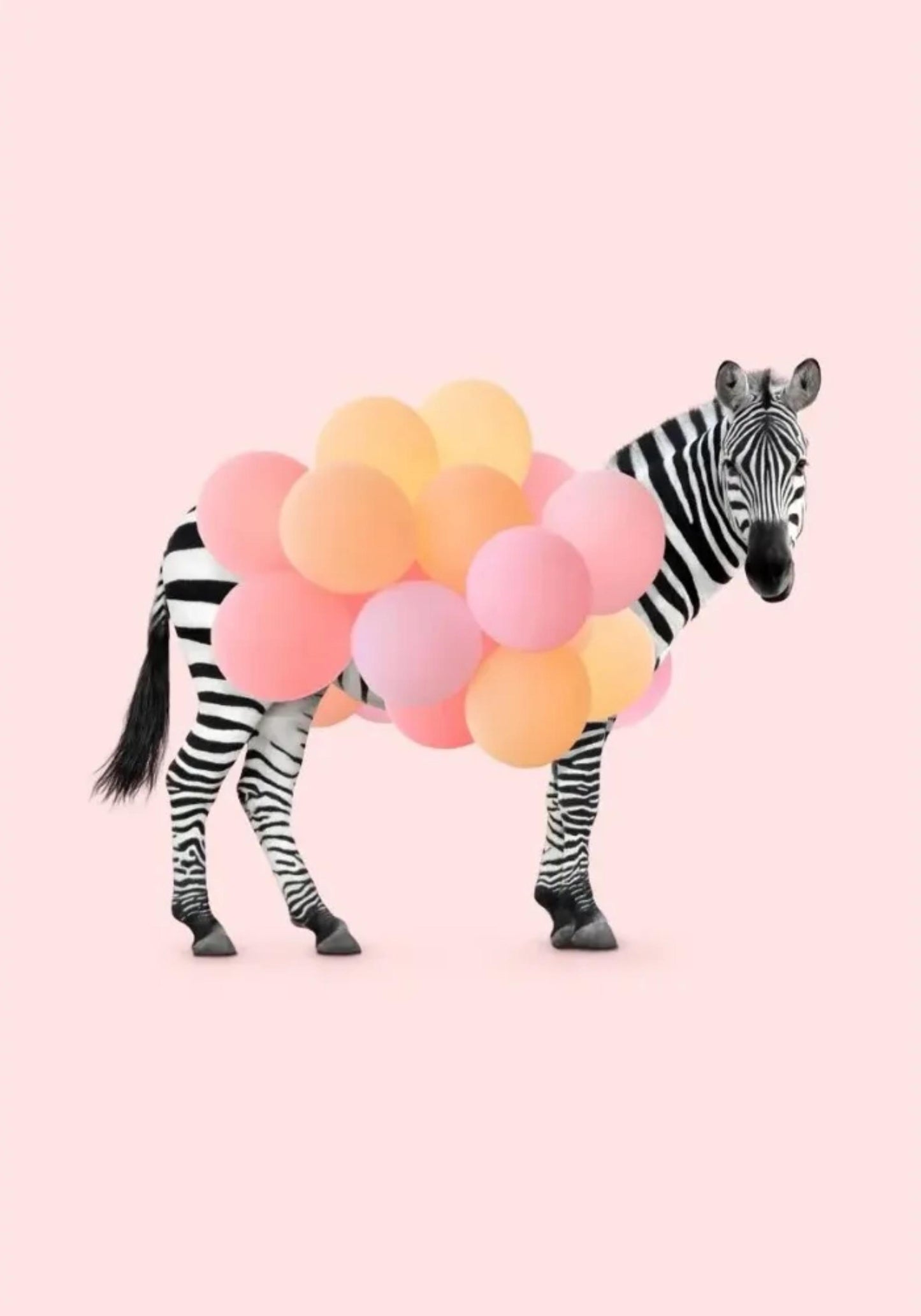 Ballon-Zebra | Verspielte Wohndekoration