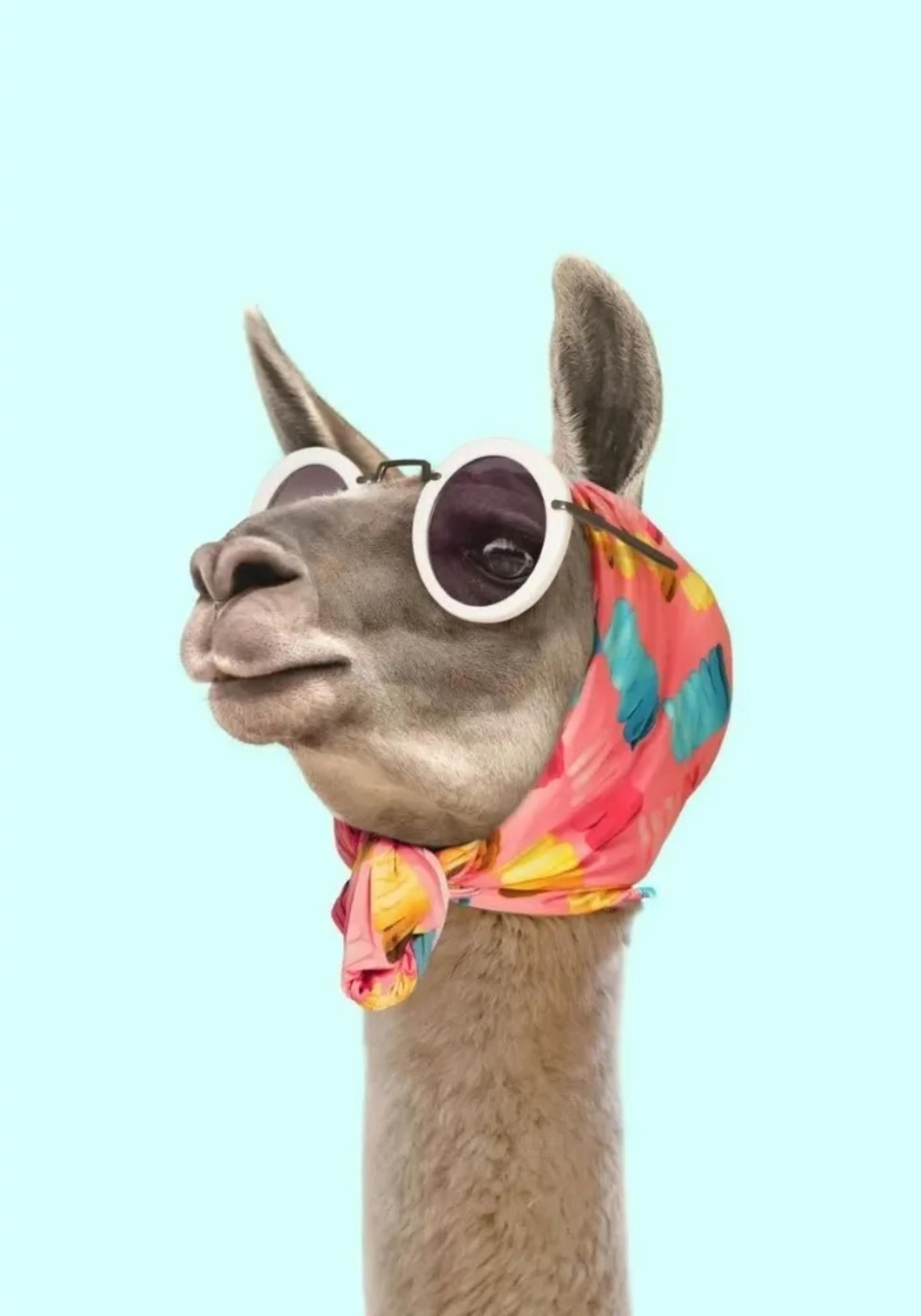 Sunning Alpaca | Fantastical Creatures Art