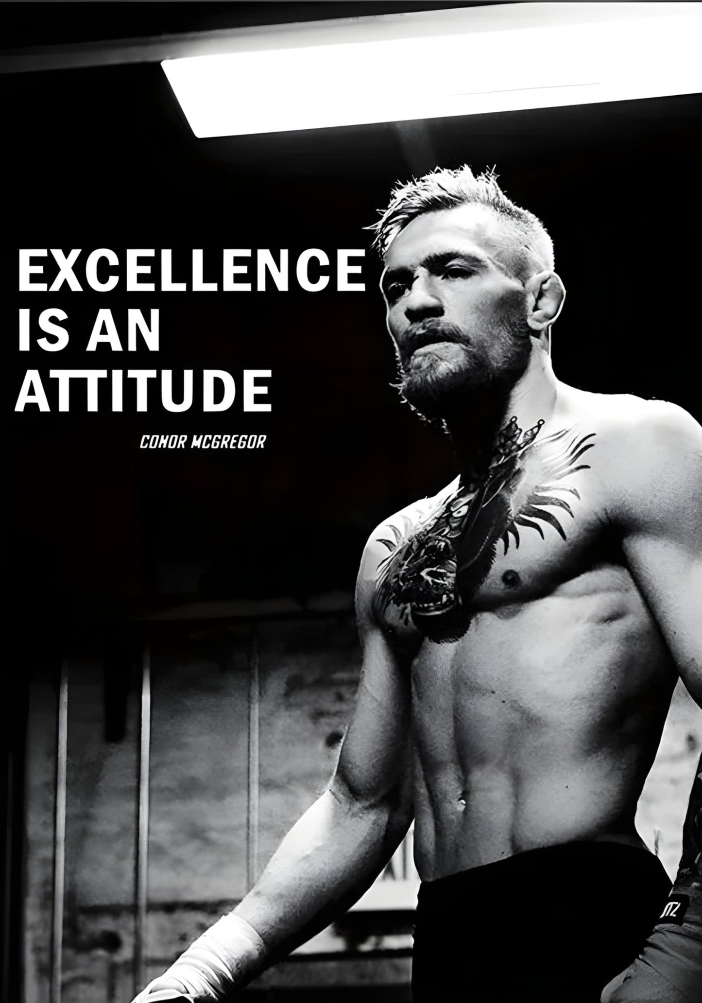 Conor McGregor Poster | Inspirational Boxing Artwork | Professional Quality Print | Gym Wall Decor | UFC Motivation | Excellence Is An Attitude