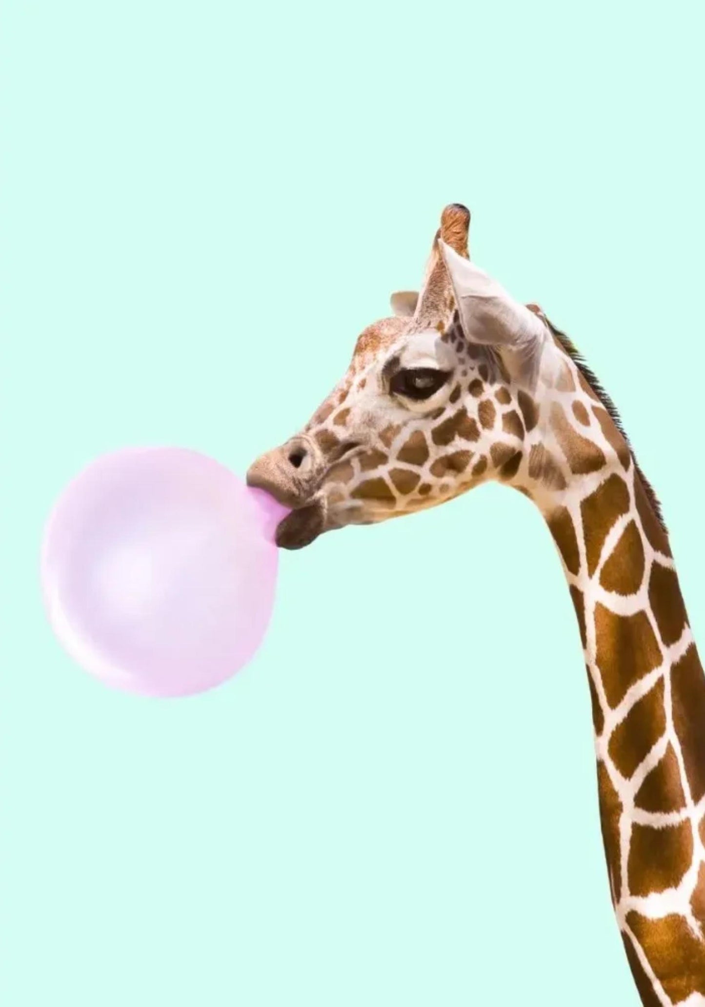 Kaugummi-Giraffe | Verspielte Kunst