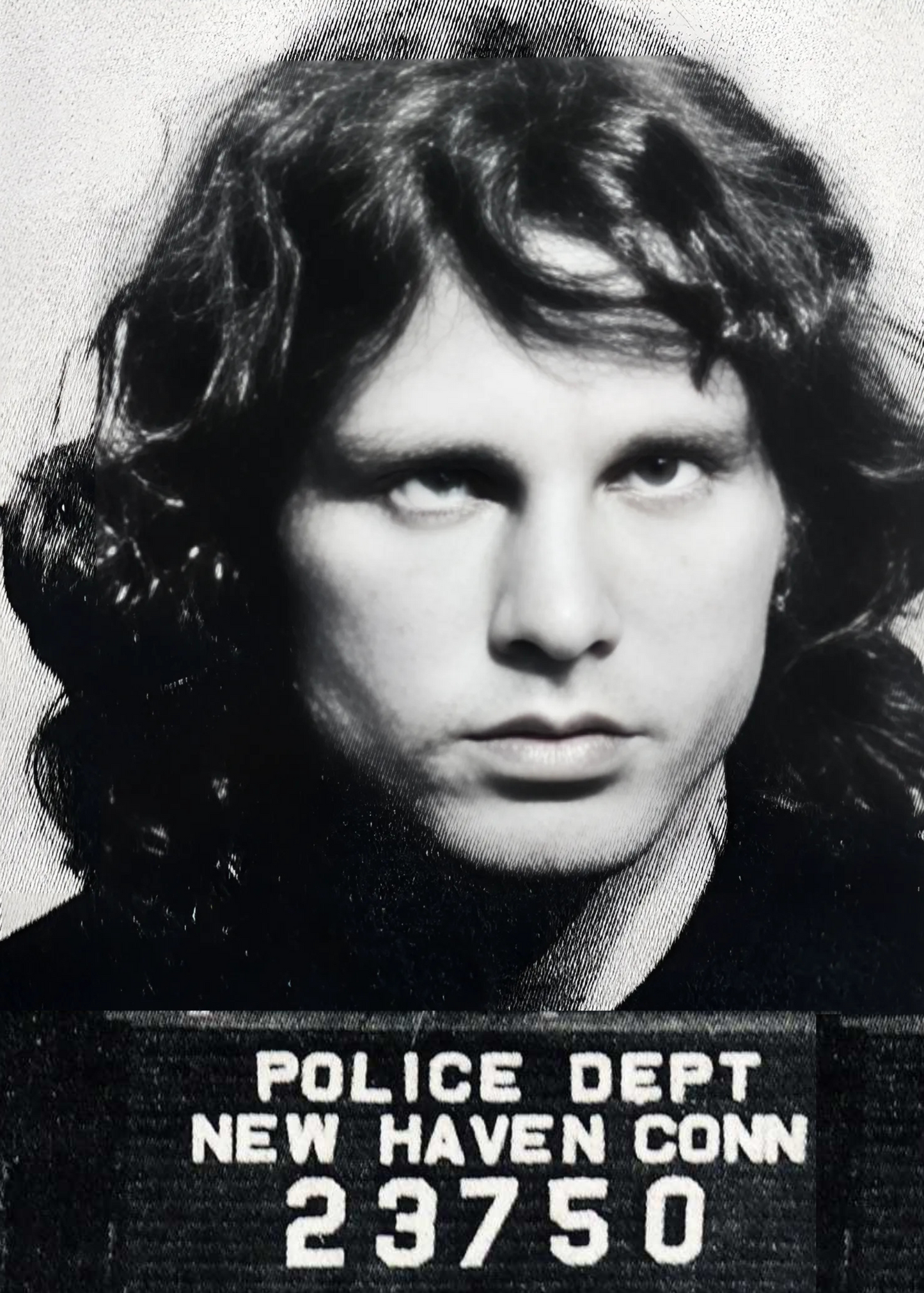 Jim Morrison Mugshot Poster | Iconic Music Legend Wall Art | Home & Garden Decor