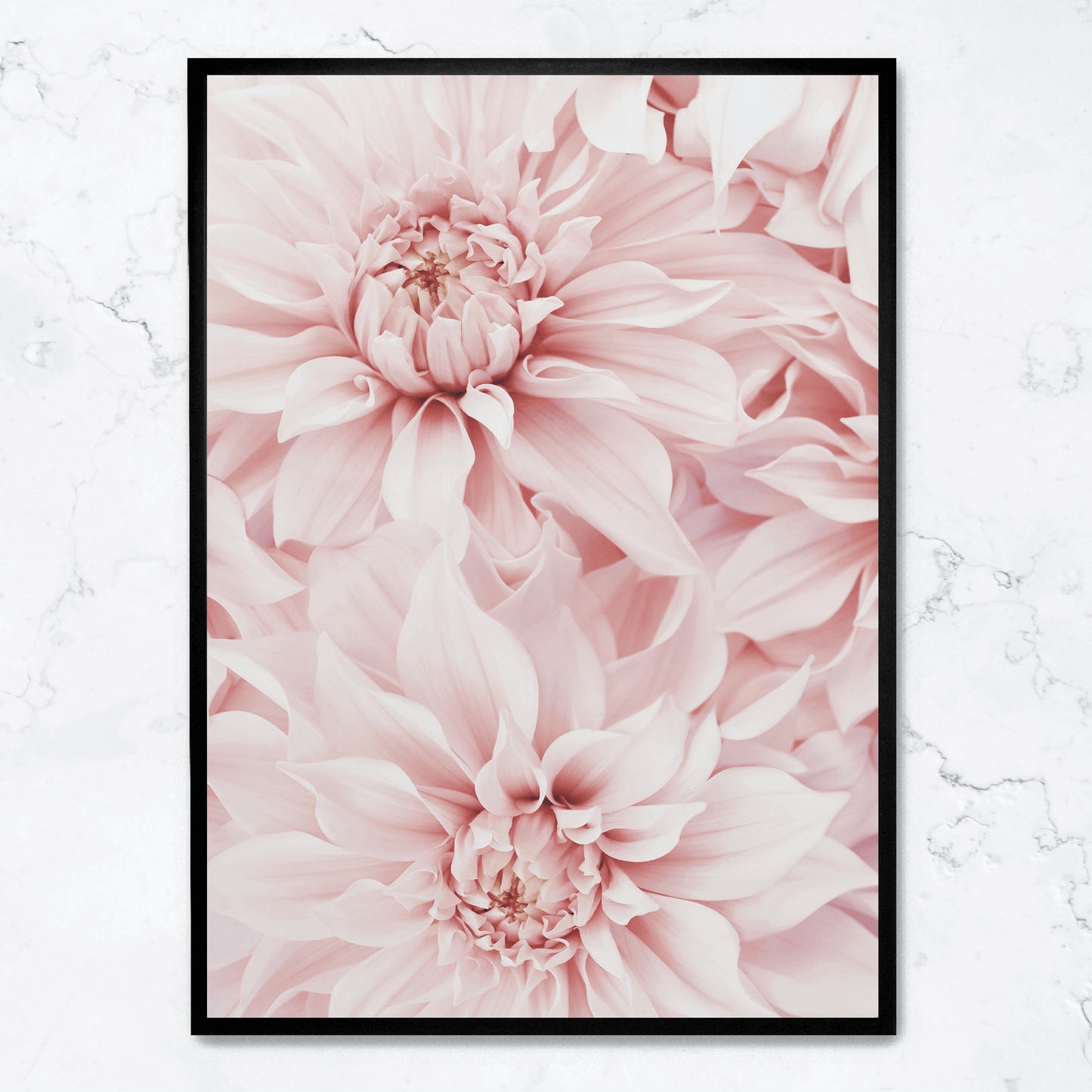 Pink Dahlia Bloom | Floral Poster | Wall Art | Decorative Flower Artwork for Home & Garden Decor