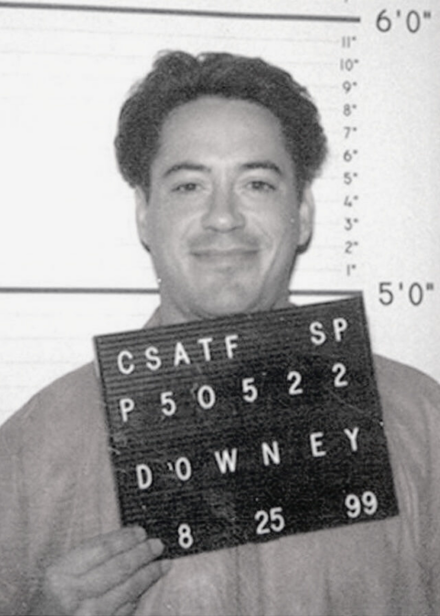 Robert Downey Jr. Inspired Art | Celebrity Mugshot Poster | Wall Decor | Home & Garden Artwork | Unique Gift Idea | Movie Star Print