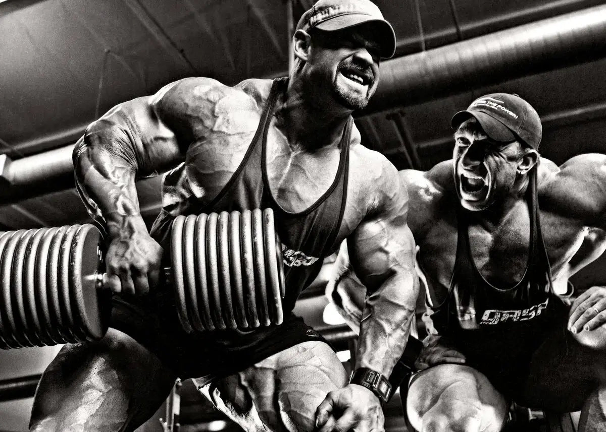 Bodybuilding | Weightlifting | Motivational Quote | Gym Fitness Poster | Single Arm dumbell Rows | Testosterone