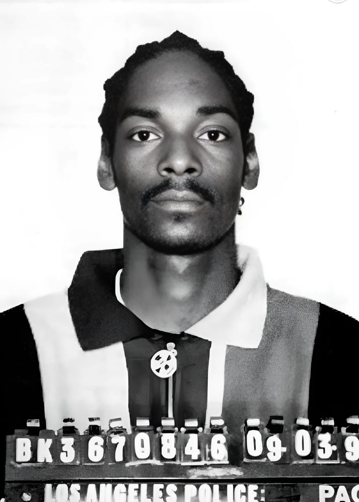 Snoop Dogg | Retro Mugshot Poster | Wall Art Decor for Home & Garden | Iconic Music Poster