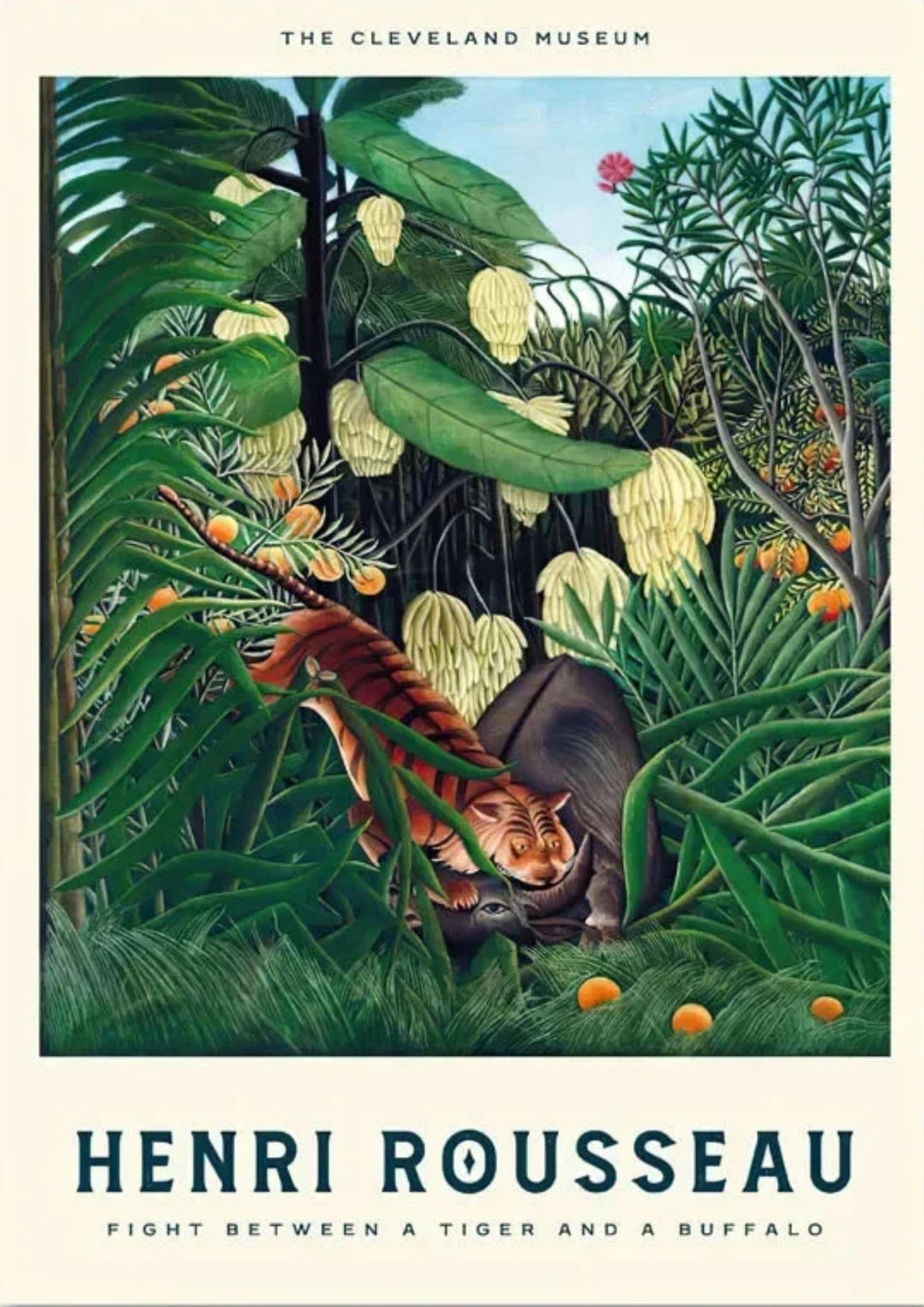 Henri Rousseau | Gevecht Tussen een Tijger en een Buffel | Klassiek Wilde Dieren Tafereel