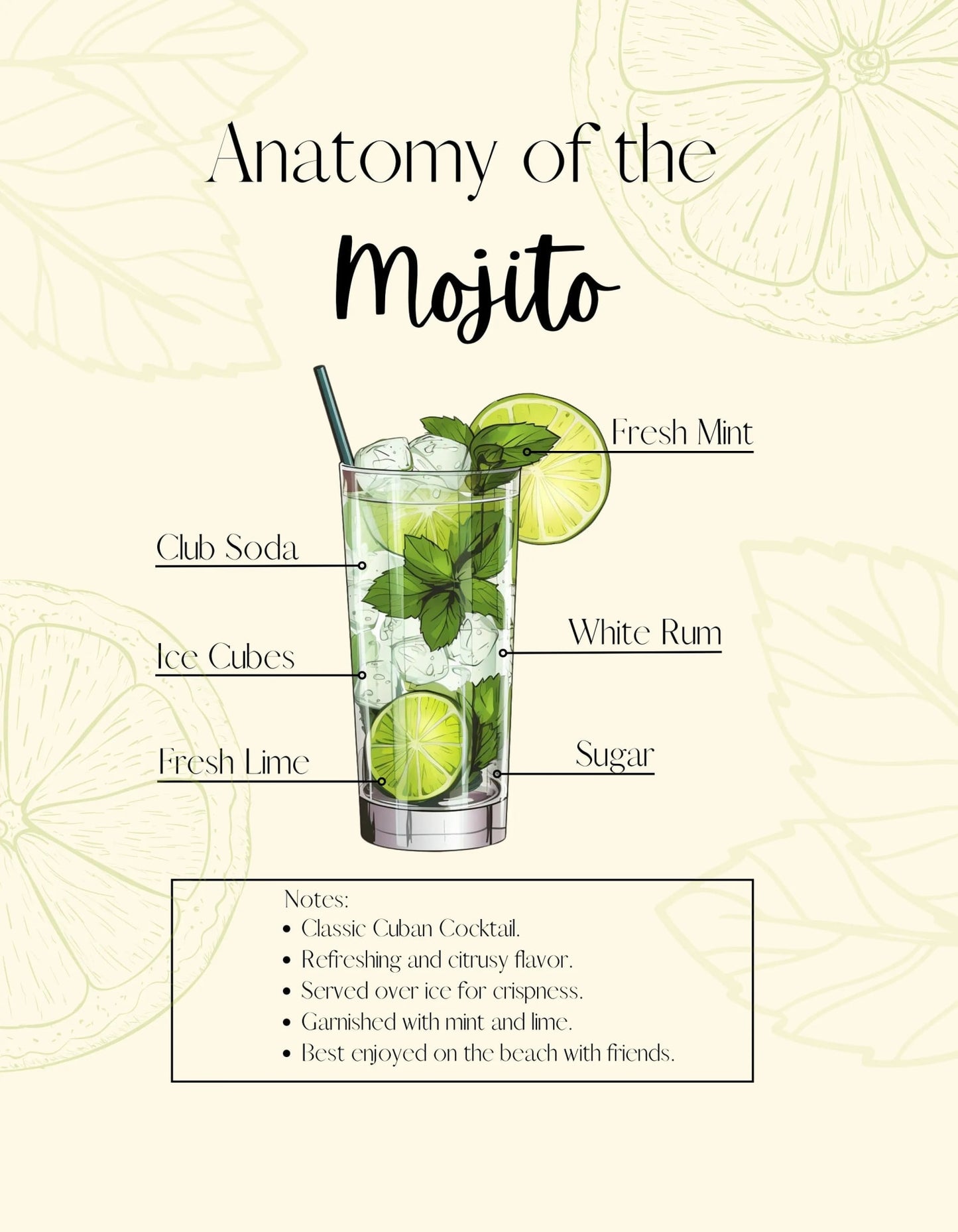 Mojito-Rezept | Cocktail-Guide