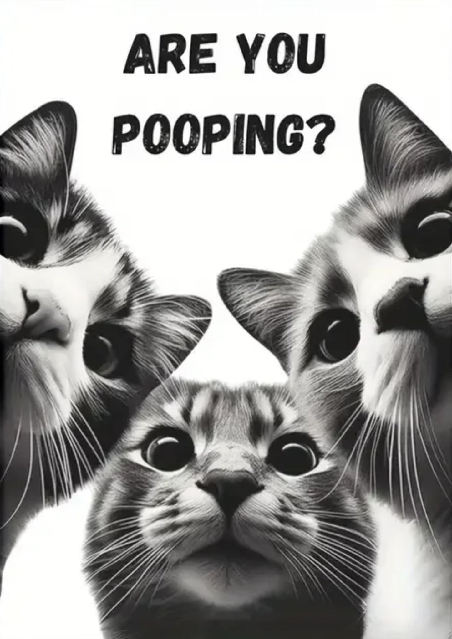 Lustiges Poster mit einer schwarzen Katze und einem Kätzchen, das Zeitung liest | Tierkunst-Zitat für die Wohnzimmerdekoration | Retro-Stil