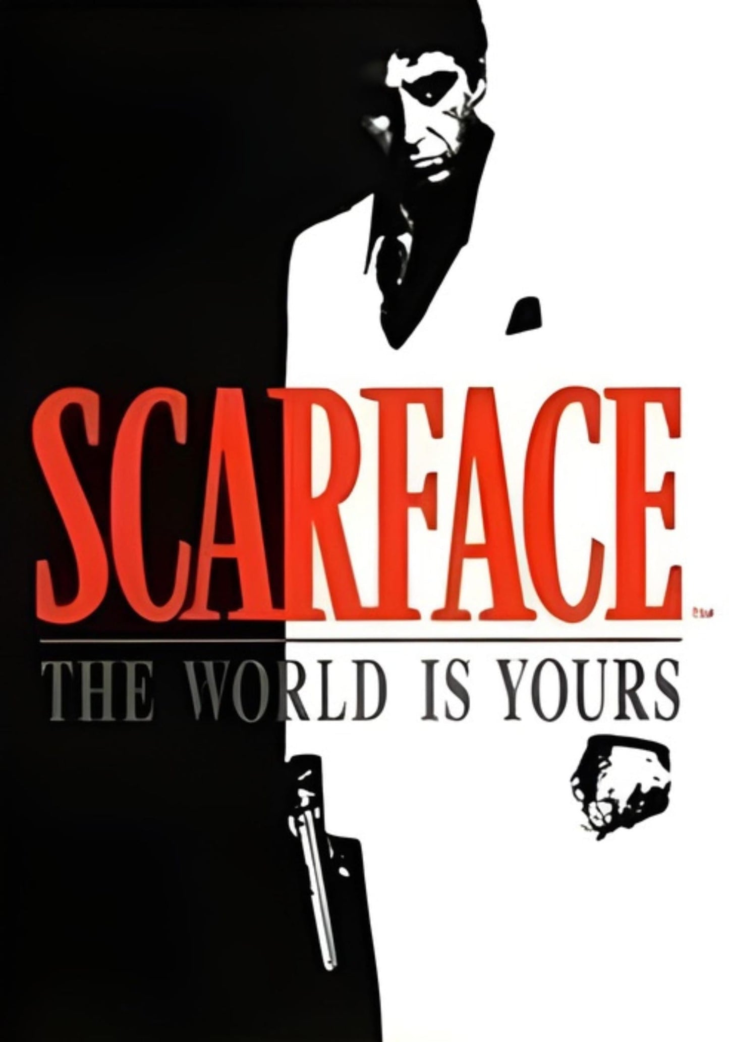 Scarface | The World Is Yours | Tony Montana