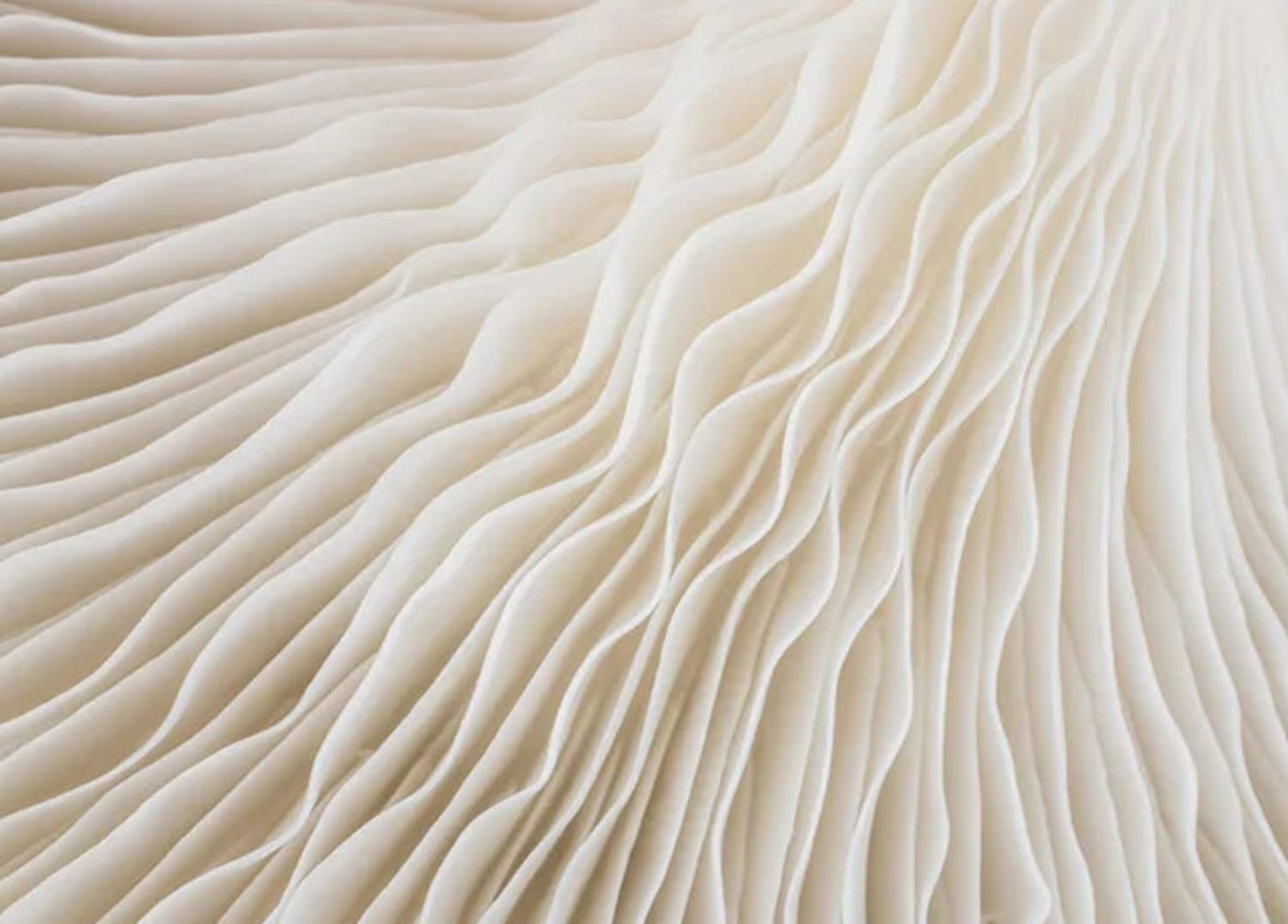 Formen in Harmonie | Kräftige Geometrie | Modernes, mehrfarbiges Design