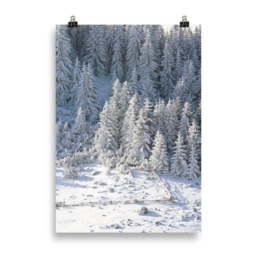 Winter Wonderland | Snow-Covered Forest Scene Poster | Tranquil Landscape Artwork