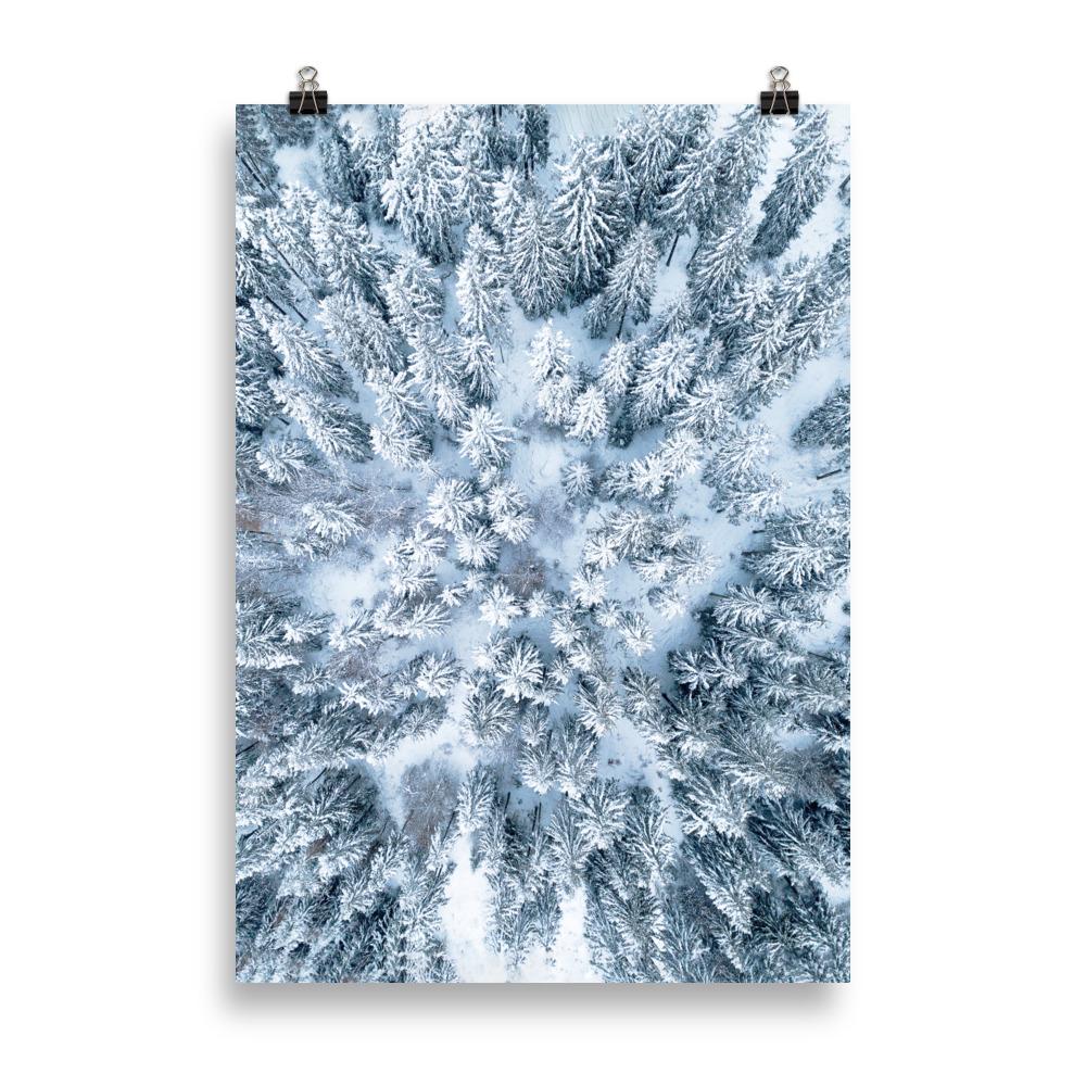 Winter Forest Scene | Nature Landscape Art | Seasonal Poster | Wall Decor | Enchanting Wilderness