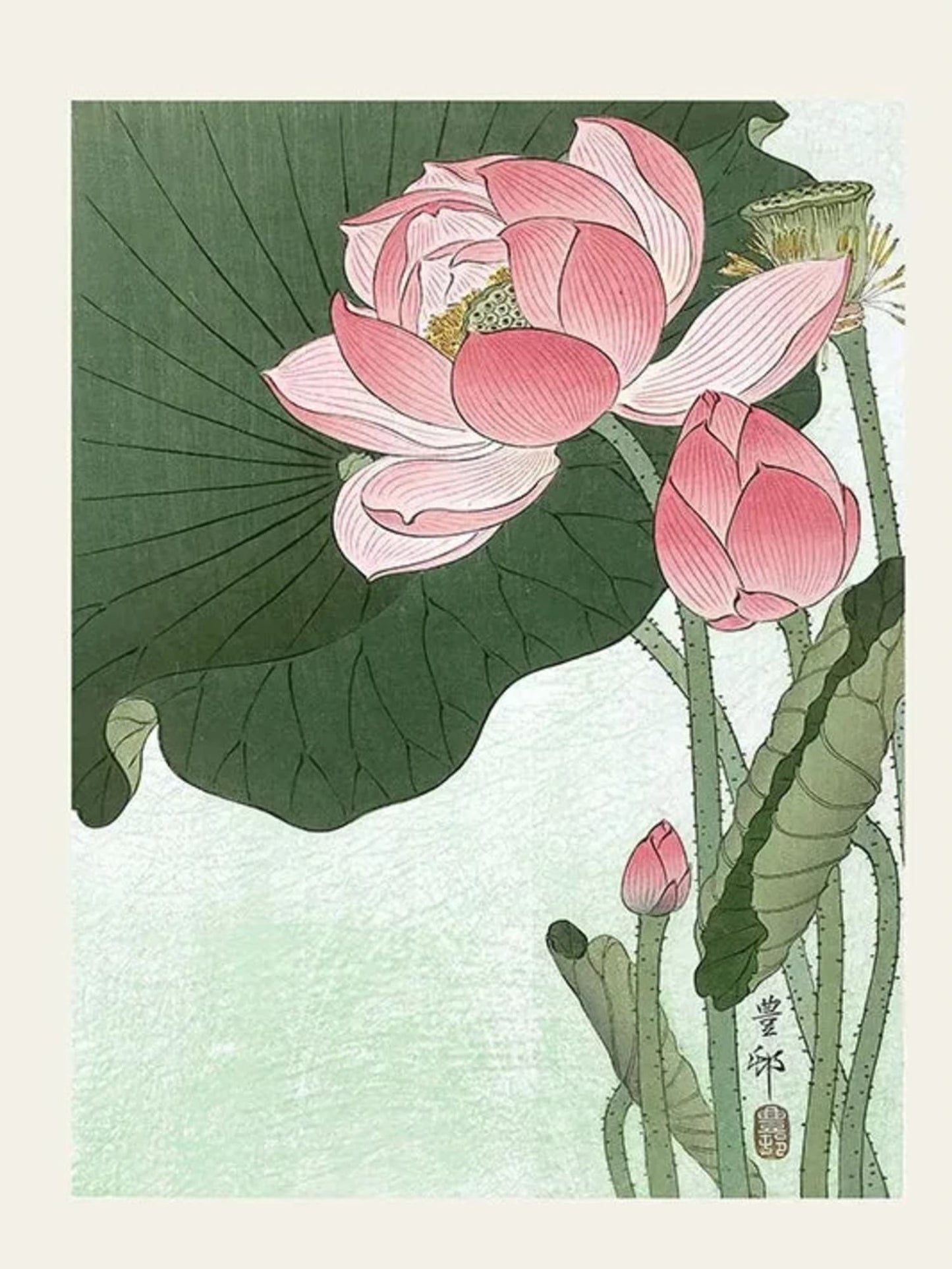 Ohara Koson Lotus Flower | Japanese Ukiyo-e Art