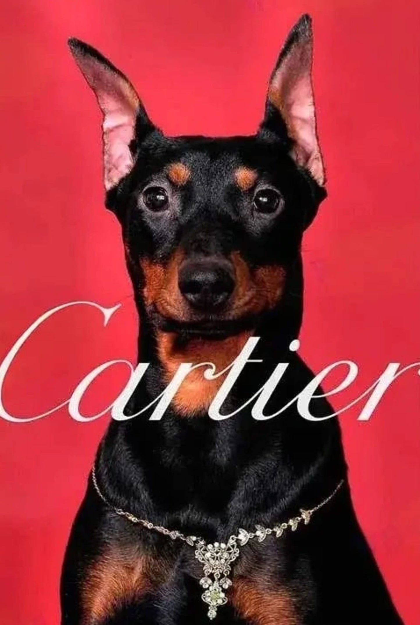 Cartier | Dachshund Photoshoot Poster | Red Silhouettes | Skylines of Paris | Fashion Legend Tribute