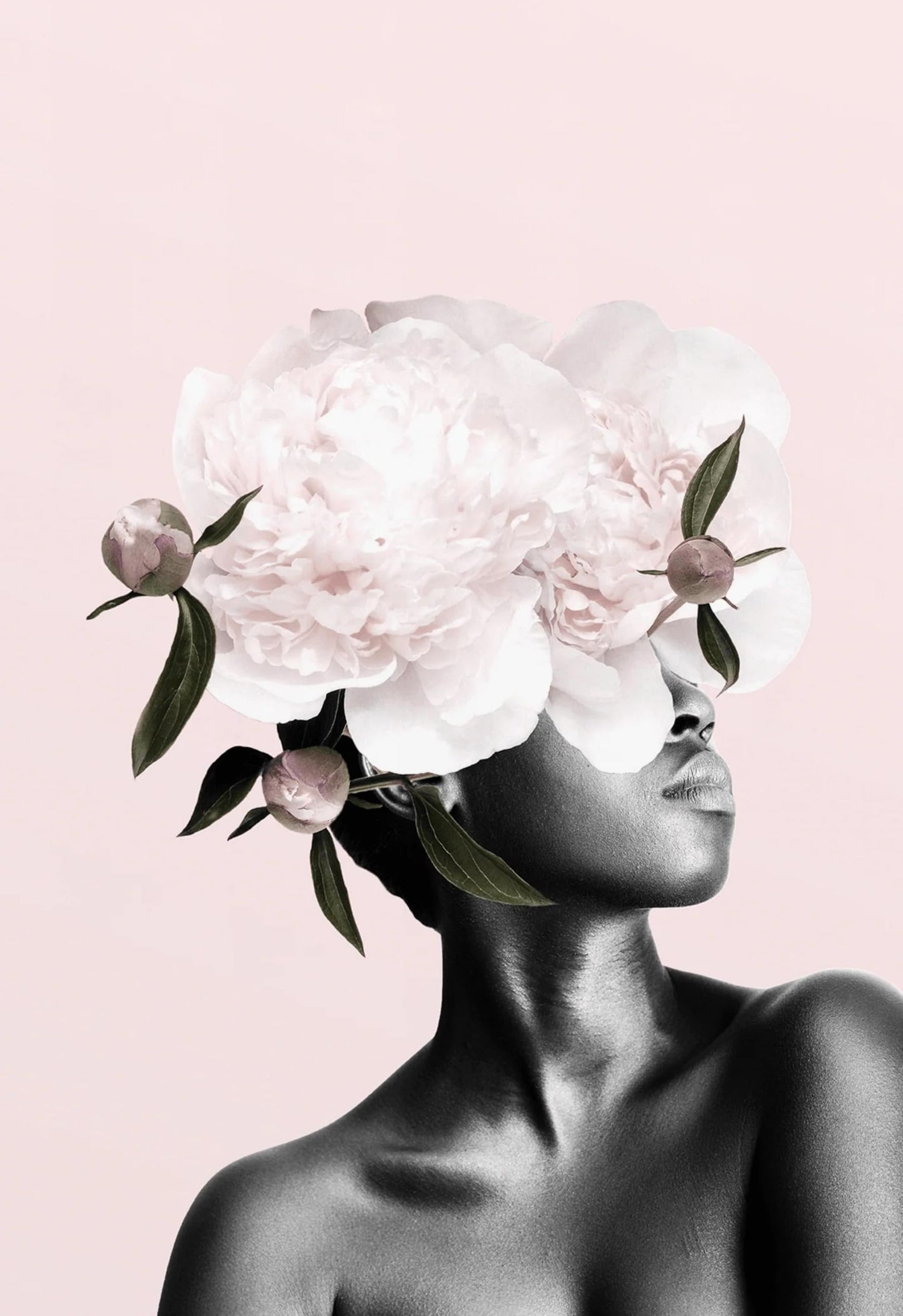 Bloemenhoofd | Roze Botanisch