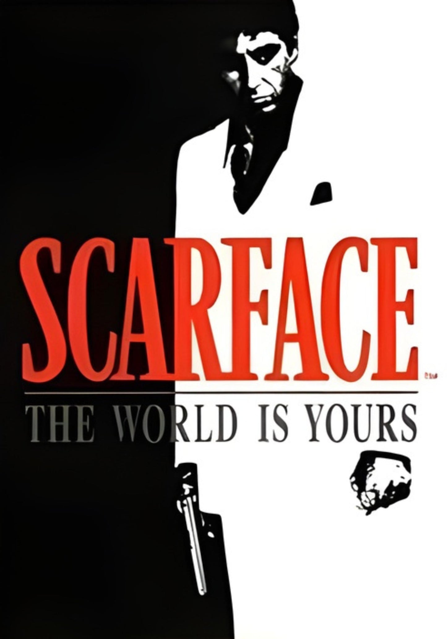 Scarface | Tony Montana | Die Welt gehört dir