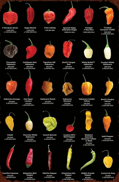 Vintage Kitchen | Peppers & Chillis