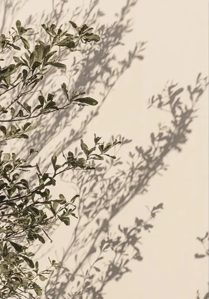 Italienische Stadt-Blumenenessenz | Lebendige Gartenszene