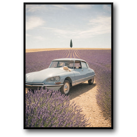 Vintage Auto in Lavendelveld | Reisfotografie Decor | Scenic Kunst Print Poster