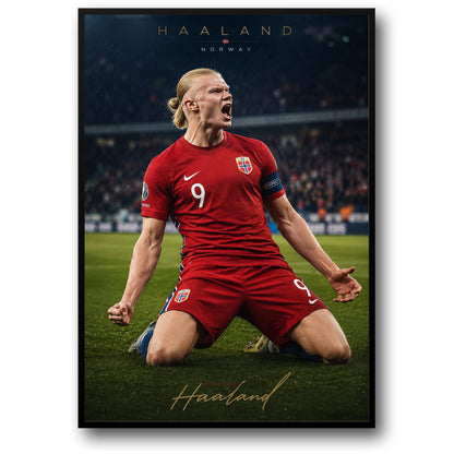 HAARLAND