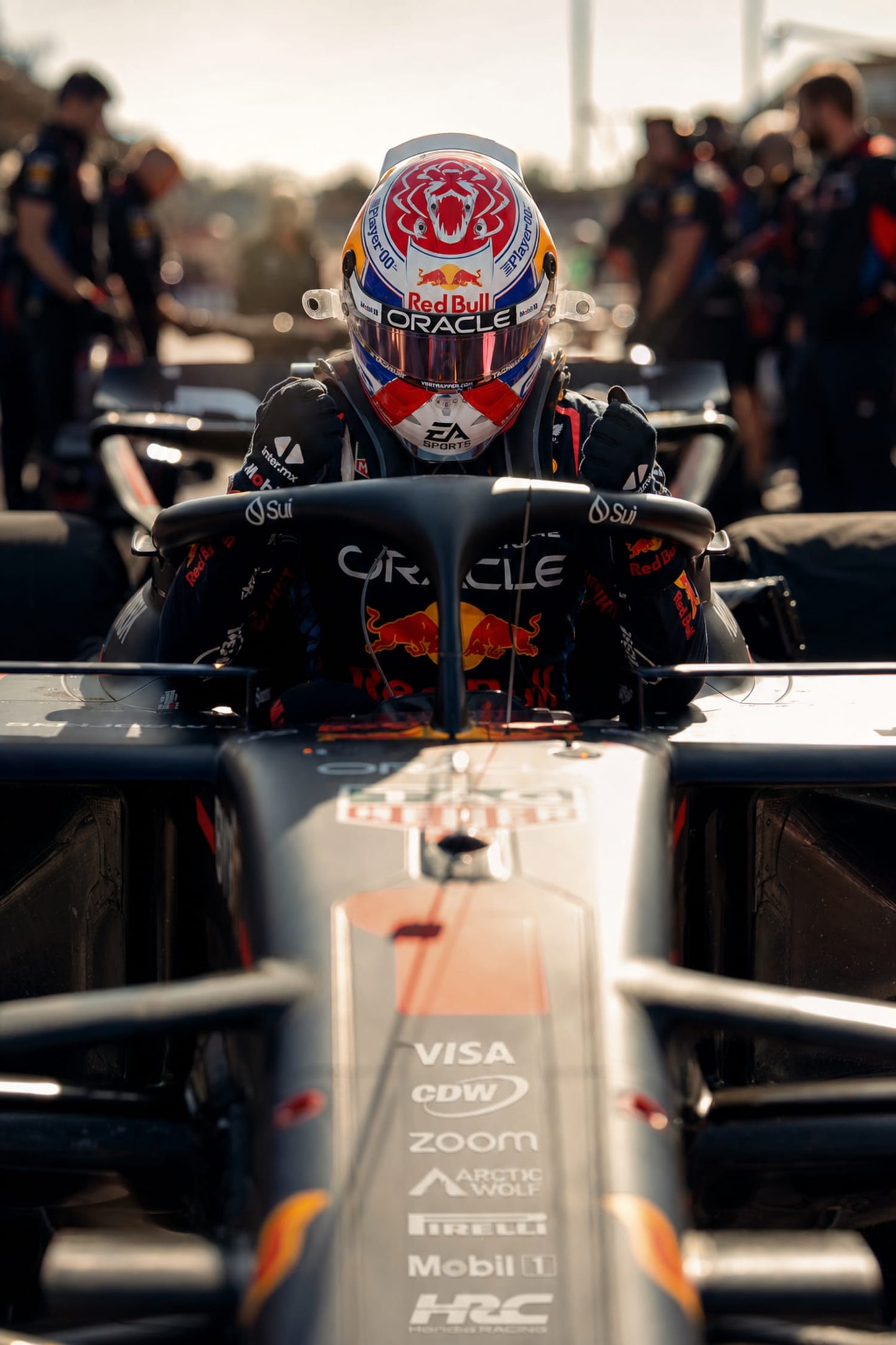 MAX VERSTAPPEN IN ACTION