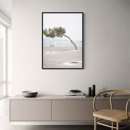 Olive Garden Landscape Poster | Italy Wall Art | Timeless Tranquility | Home & Garden Decor
