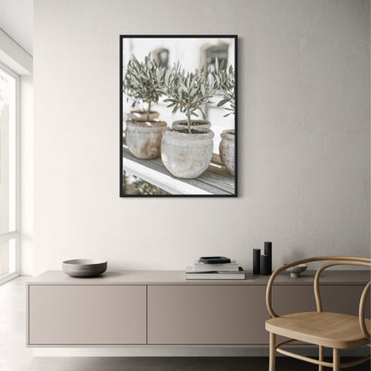 Italië Landschap | Olijfgaard Scenery Kunst