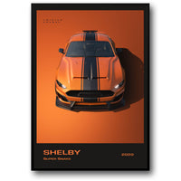SHELBY SUPER SNAKE TWISTER