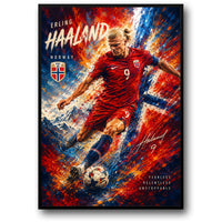 ERLING HAALAND IN ACTION