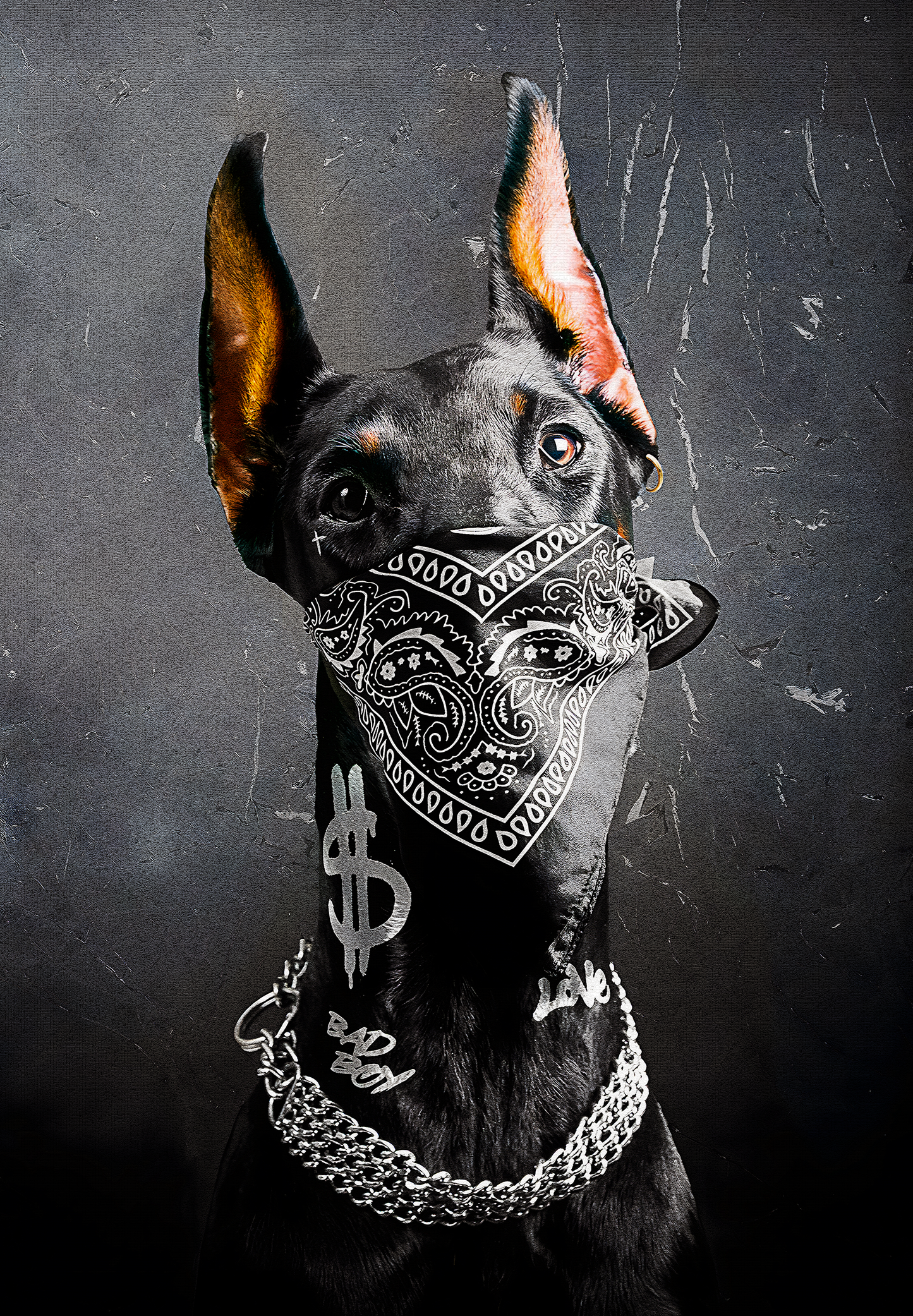 Urban Dog with Bandana | Paisley & Chains | Graffiti Style