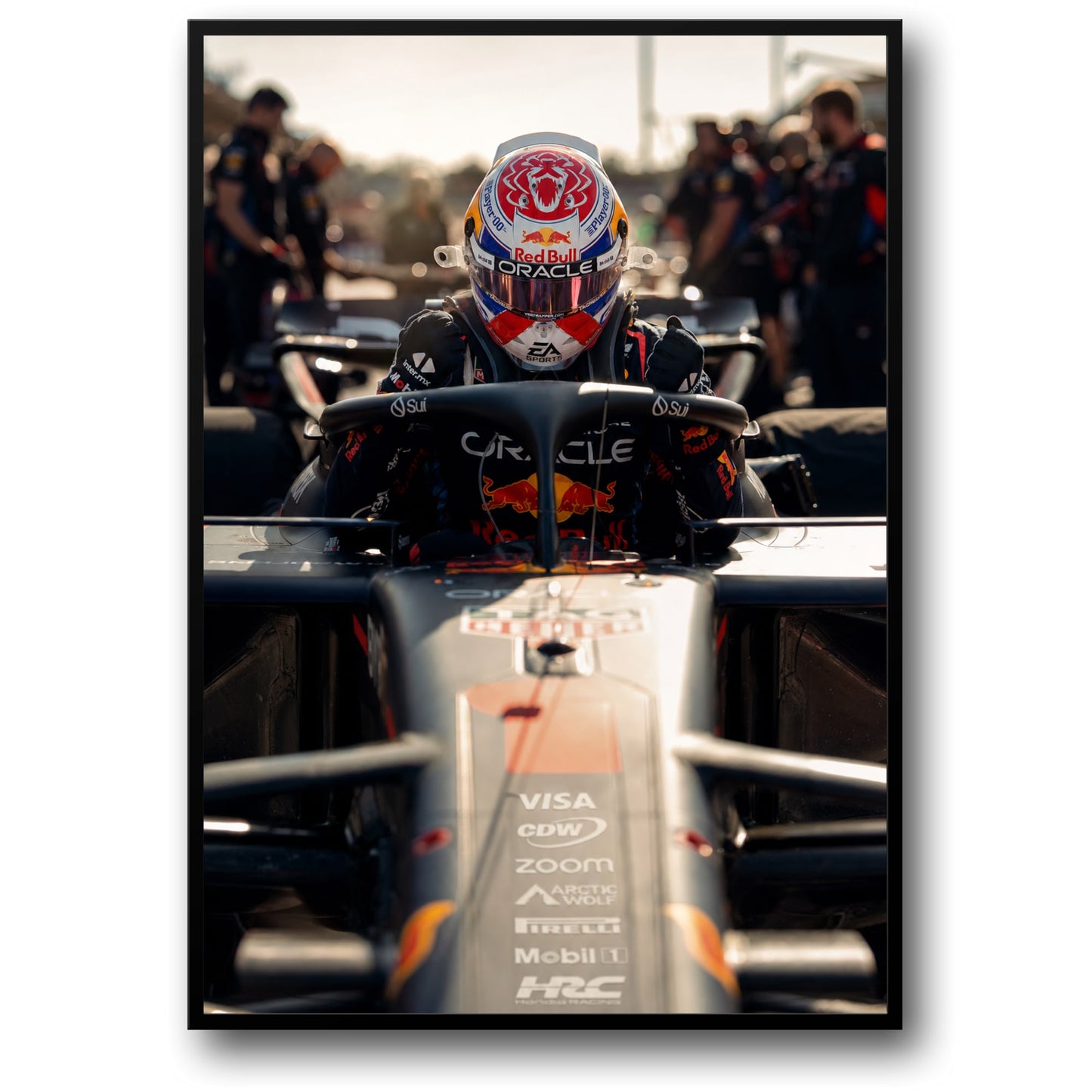 MAX VERSTAPPEN IN ACTION