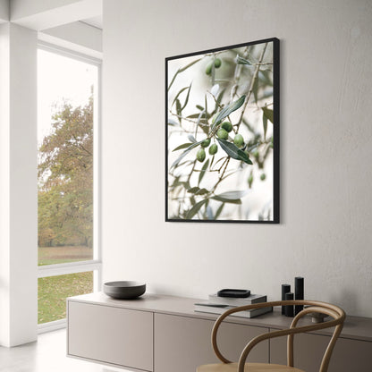 Timeless Beauty of Olive Garden | Italy Poster | Home Decor | Visual Artwork