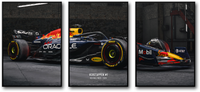 MAX VERSTAPPEN 2025 - THE TRIPLE PANEL