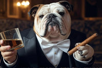 Gentleman Bulldog | Stilvoller Zigarren- und Whiskey-Genuss