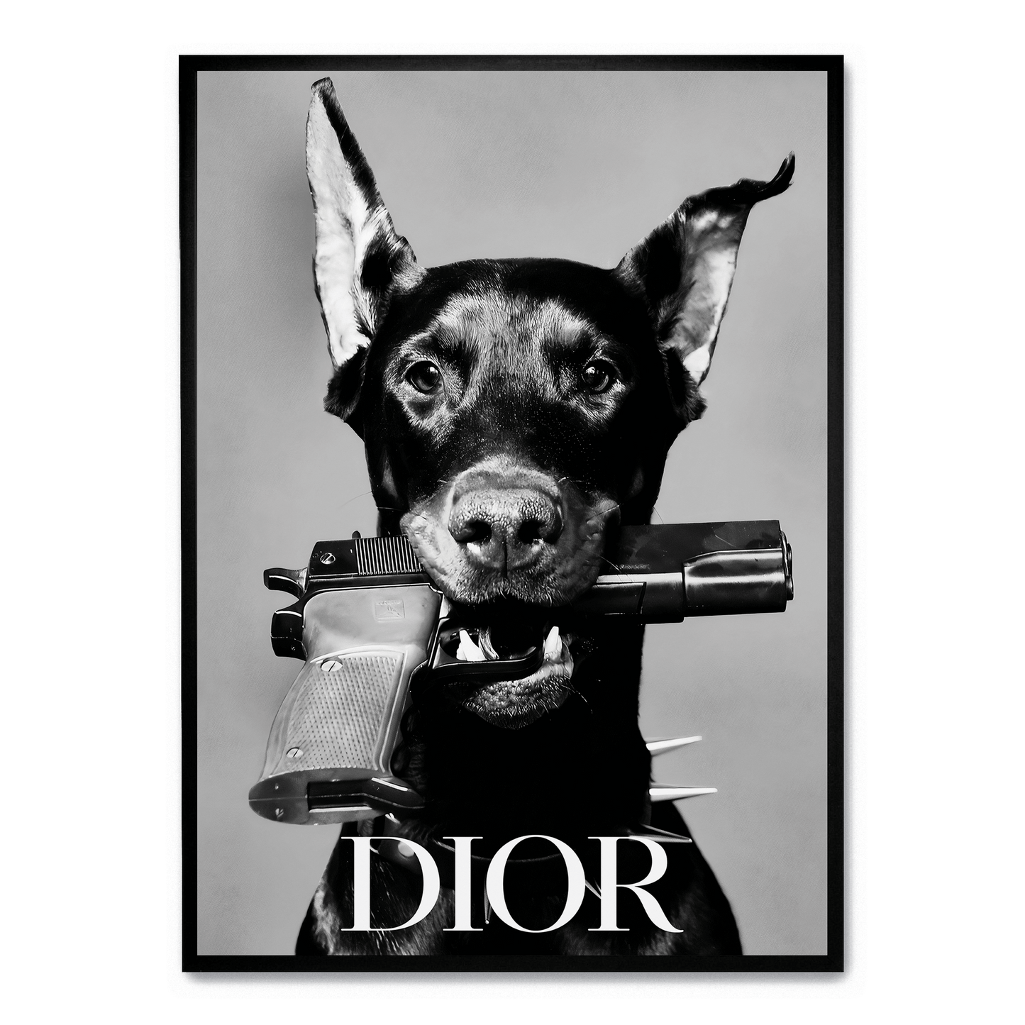 Dior Dog