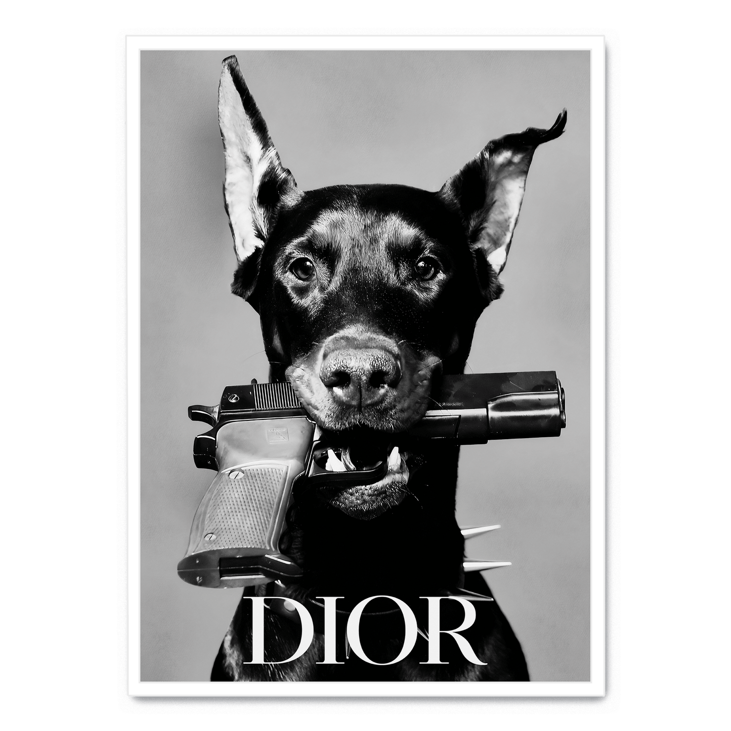 Dior Dog