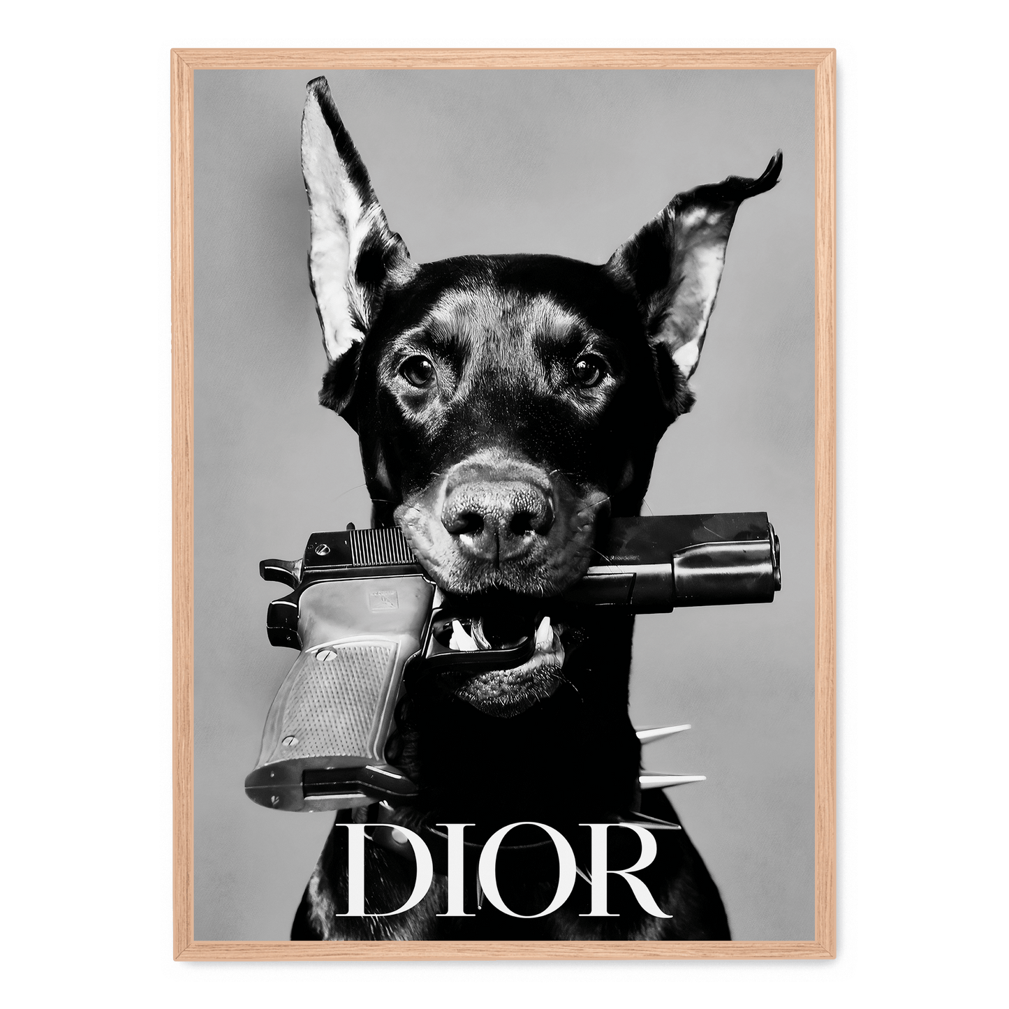 Dior Dog