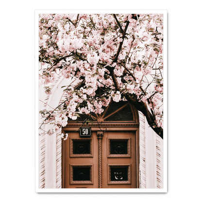 Door And Pink Flowers