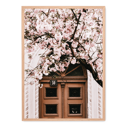 Door And Pink Flowers