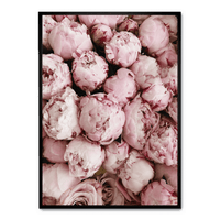 Rosa Rosenblüten | Lebendige Blumenkunst