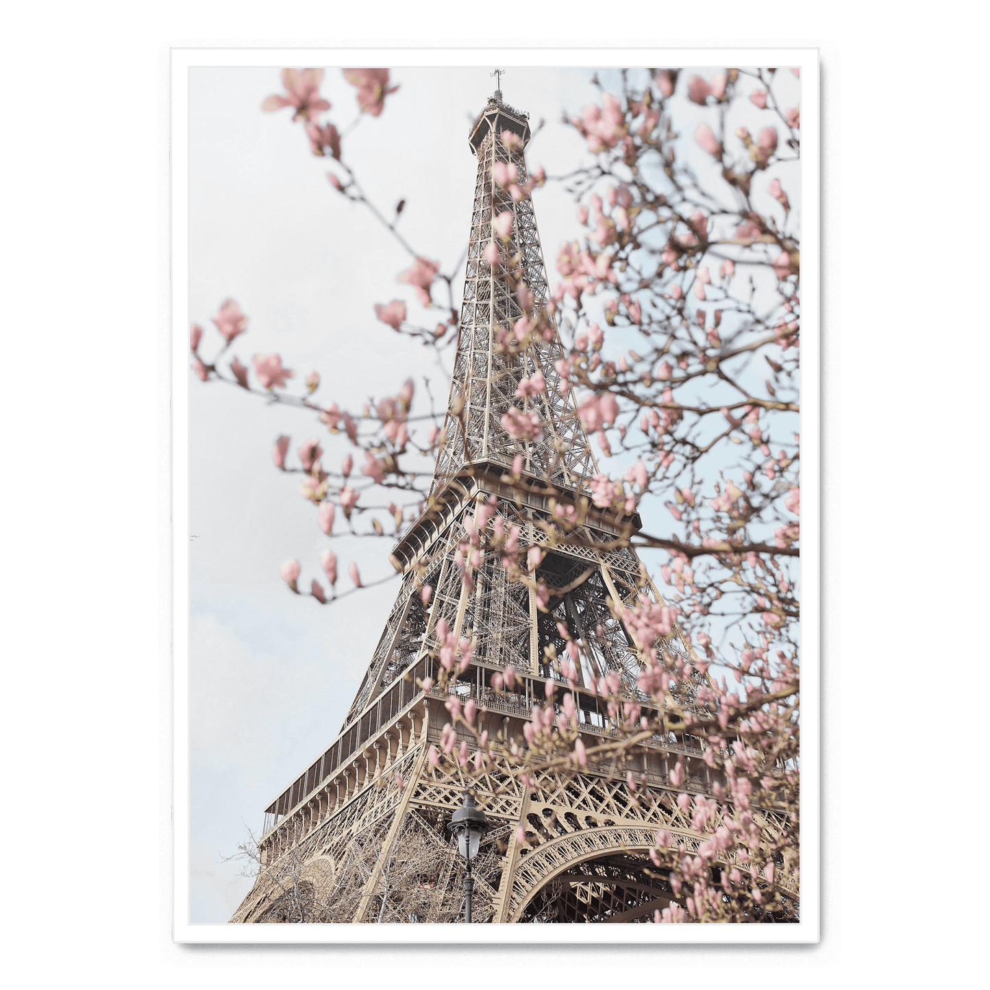 The Eiffel Tower With Flowers