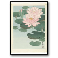 Ohara Koson | Lotusblüten | Ukiyo-e japanische Kunst