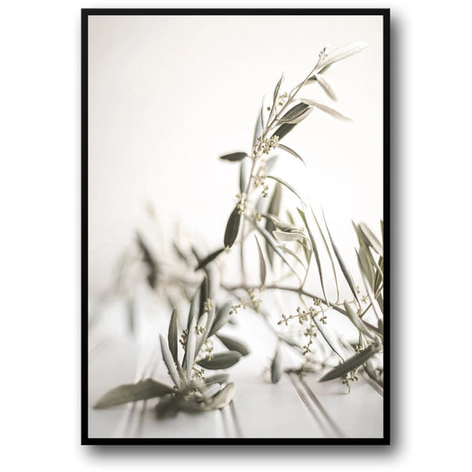 Ancient Elegance | Olive Garden Italy Poster | Vintage Art Wall Decor | Italian Landscape | Home Interior Decoration