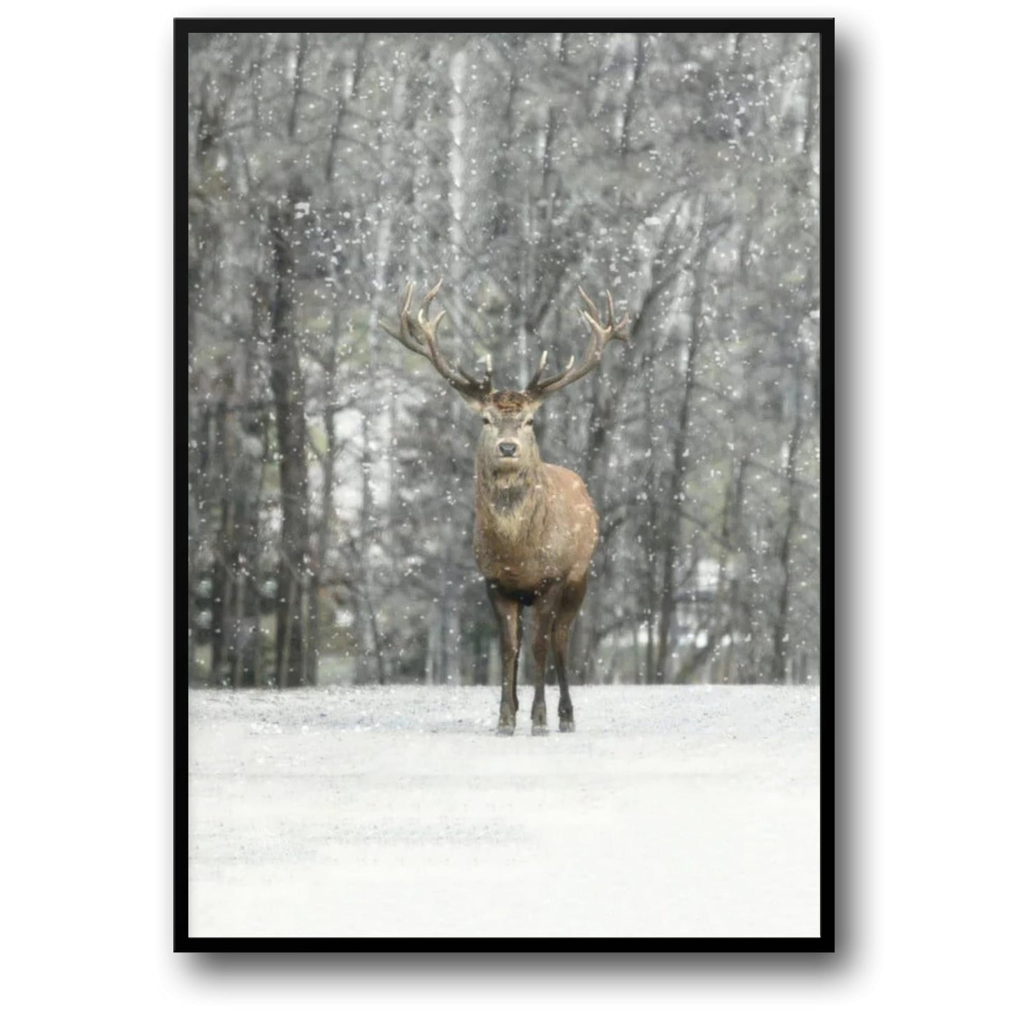 Hallo Hert | Winter Edities