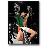 Conor McGregor | Doppelgürtelsieg | UFC-Champion-Boxkunst