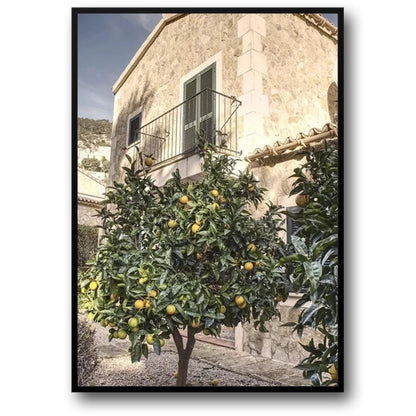 Italiaanse Stad Citroenboom Landschap | Levendige Decor