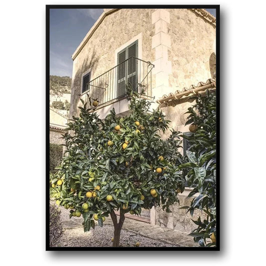 Italiaanse Stad Citroenboom Landschap | Levendige Decor