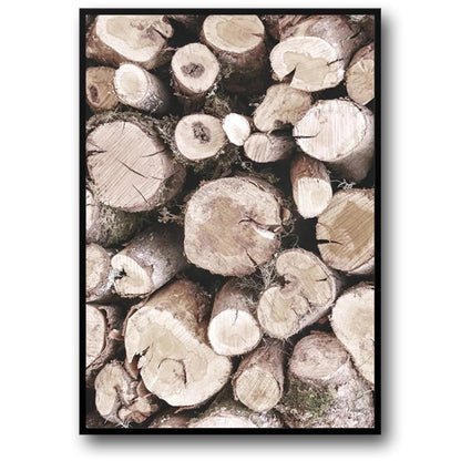 Geometrie der Natur | Geometrisches Design | Von der Natur inspiriert