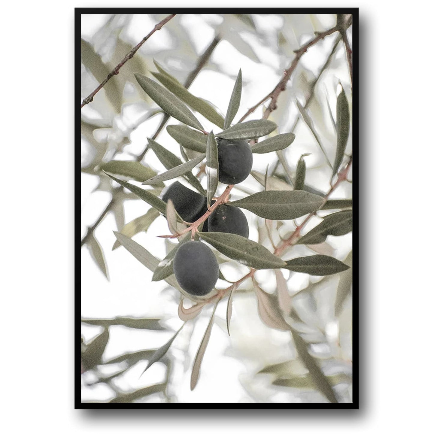 Olive Garden Landscape Poster | Tranquil Mediterranean Scene | Italy Wall Art | Scenic Artwork for Home Decor