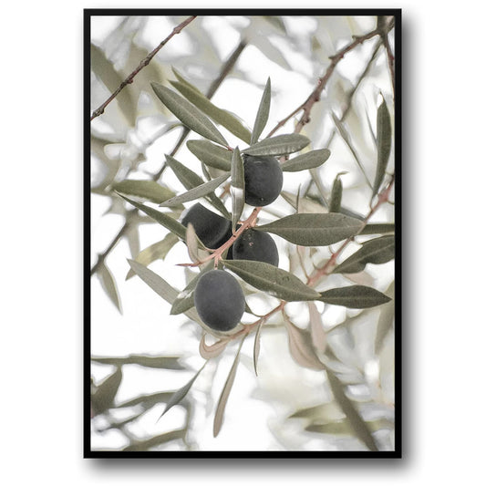 Olive Garden Landscape Poster | Tranquil Mediterranean Scene | Italy Wall Art | Scenic Artwork for Home Decor